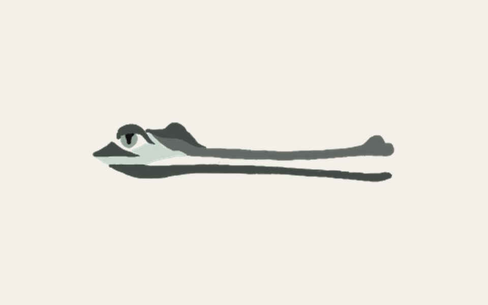 Ludwig, The Gavialidae